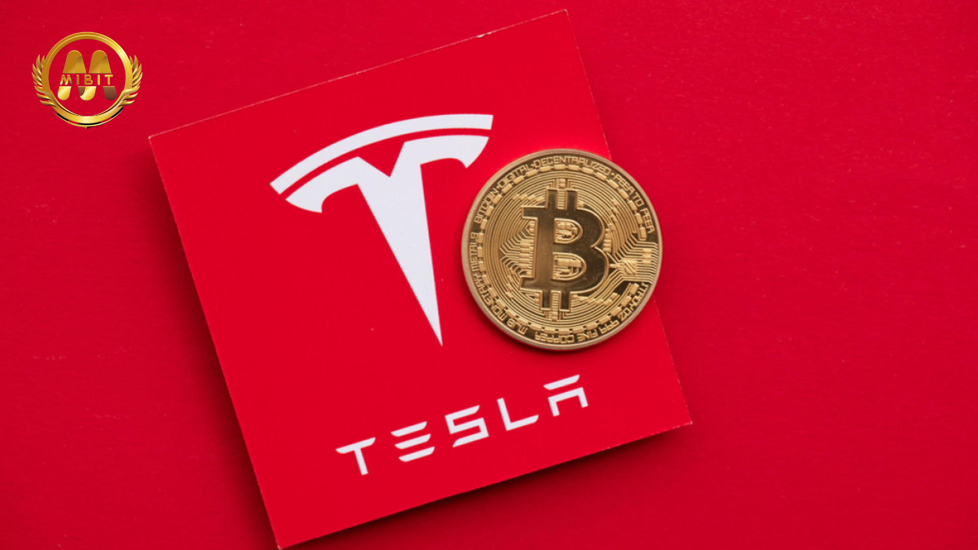 Rumor Tesla Kembali Terima Pembayaran Bitcoin, Bikin Heboh!!